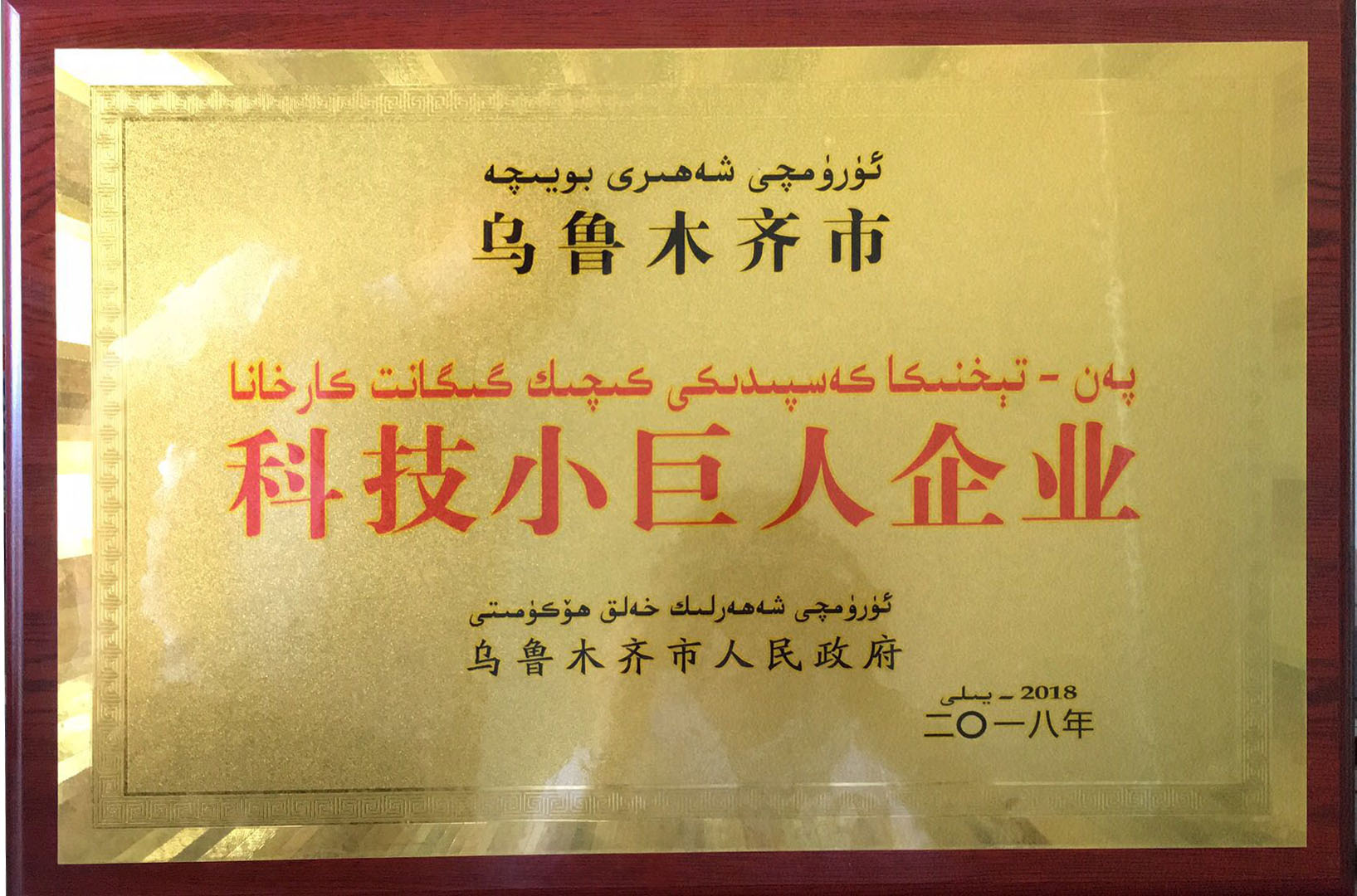 金雪馳榮獲烏魯木齊市首批“科技小巨人”和 “專精特新”企業(yè)榮譽稱號